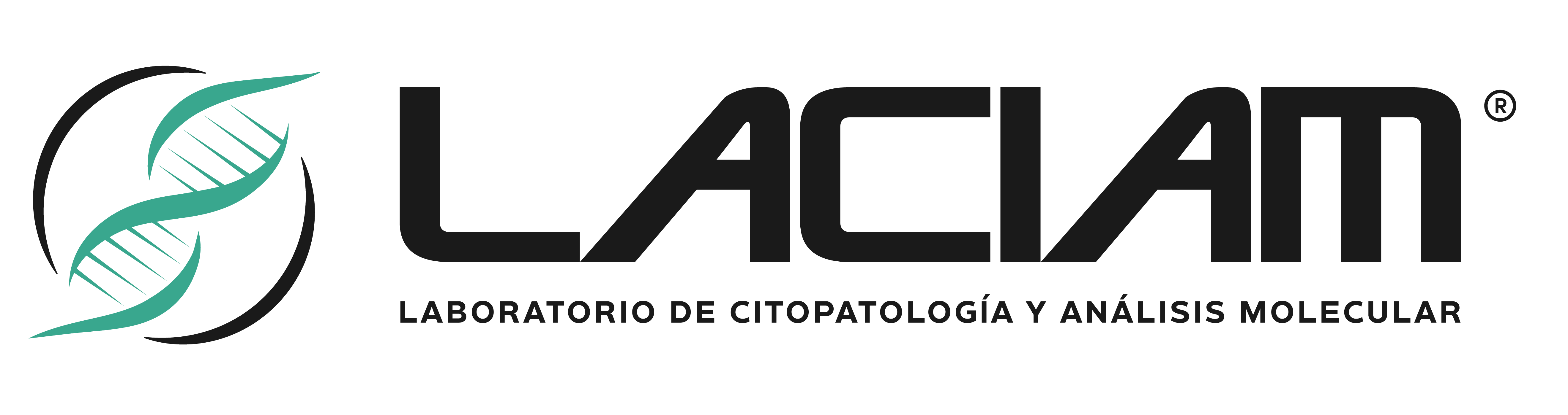 Theme Logo